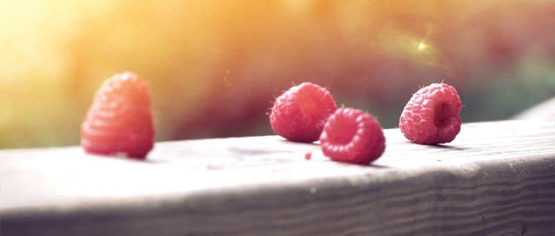 虚拟号码短信发送平台